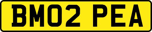 BM02PEA