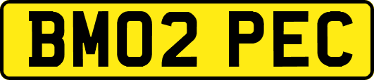 BM02PEC