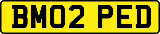 BM02PED