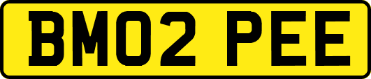 BM02PEE