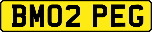 BM02PEG