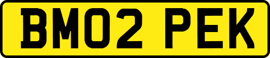BM02PEK