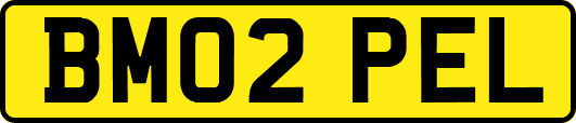 BM02PEL