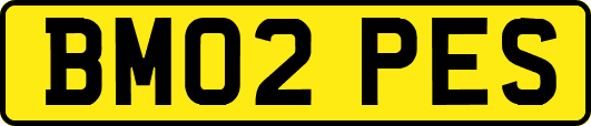 BM02PES