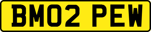 BM02PEW