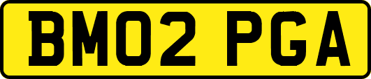 BM02PGA