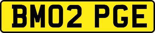BM02PGE