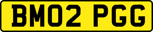 BM02PGG