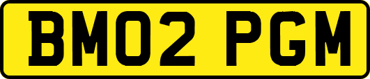 BM02PGM
