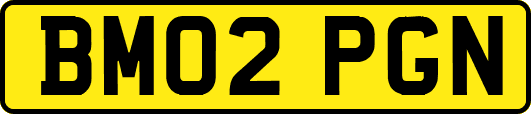 BM02PGN