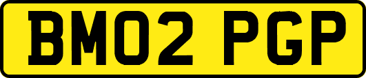BM02PGP