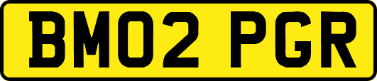 BM02PGR