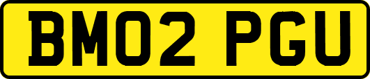 BM02PGU