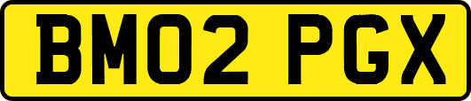 BM02PGX