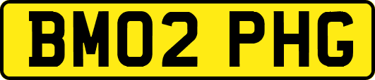 BM02PHG