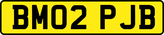 BM02PJB