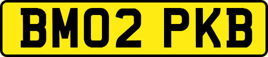 BM02PKB