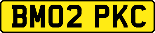 BM02PKC