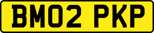 BM02PKP
