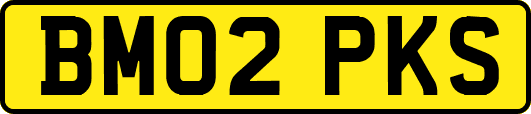 BM02PKS
