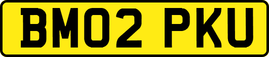 BM02PKU
