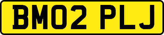 BM02PLJ
