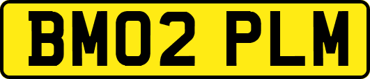 BM02PLM