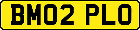 BM02PLO