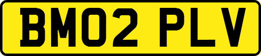 BM02PLV
