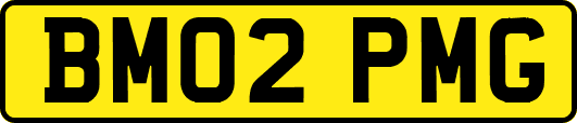 BM02PMG