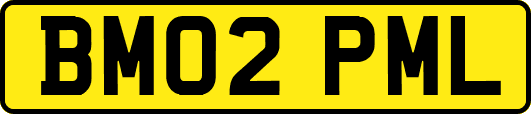BM02PML