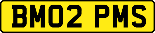 BM02PMS