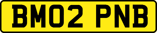 BM02PNB