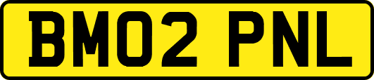 BM02PNL