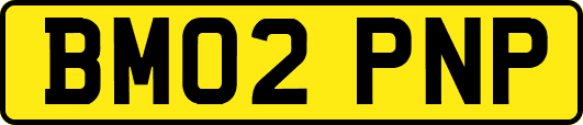 BM02PNP