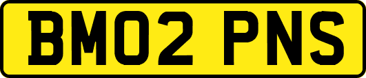 BM02PNS