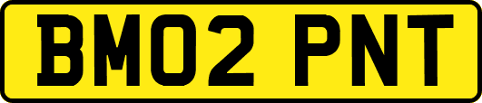 BM02PNT