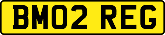 BM02REG