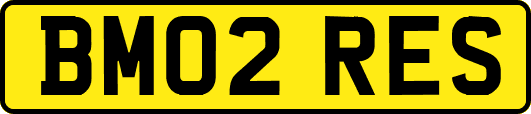 BM02RES
