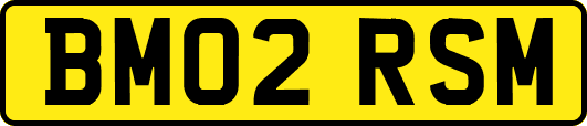BM02RSM