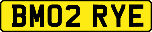 BM02RYE