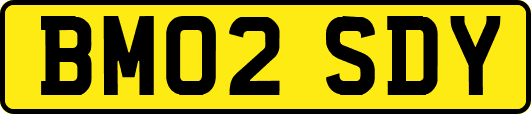 BM02SDY