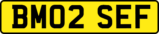 BM02SEF