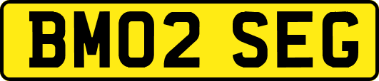 BM02SEG