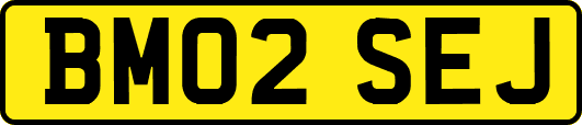 BM02SEJ