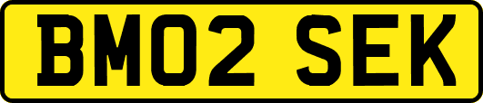 BM02SEK