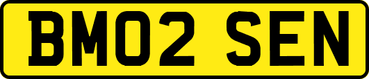 BM02SEN