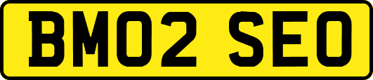 BM02SEO