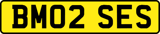 BM02SES