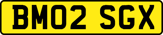 BM02SGX